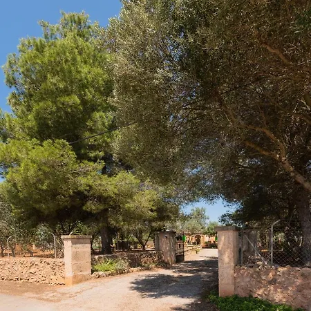 Es Tres Pins * Campos (Mallorca)